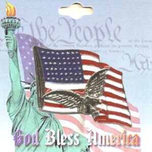 USA American Eagle on American Flag Lapel Pins