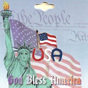 USA American Flag on USA Script Lapel Pin