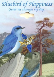 Bluebird Of Happiness Crystal Inspirational Pins