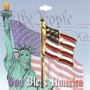 USA American Flag Brooch Pin Special