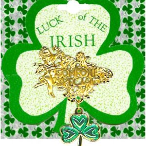 Irish Shamrock Someone Special Love Brooch Pin