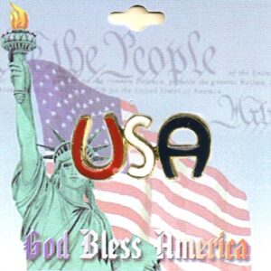 USA Script American Lapel Pins