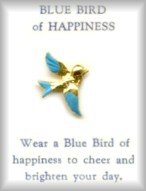 Bluebird of Happiness Inspirational Lapel Pins in 3 Dozen Display